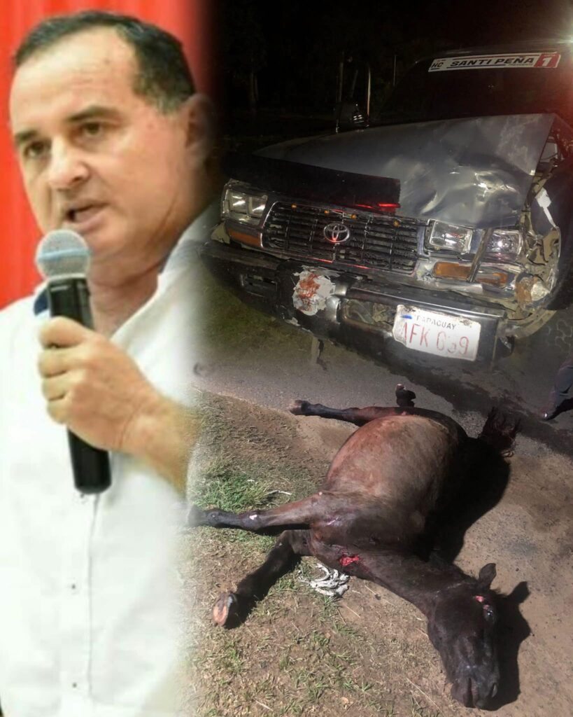 556763210 1262529659220021 8878222637358817864 n