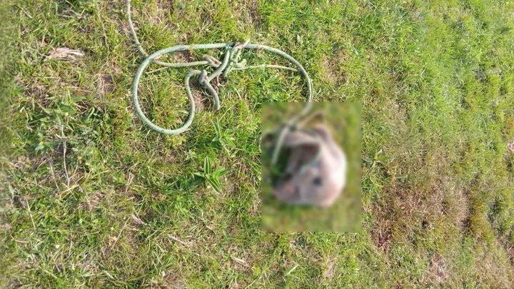 557594051 1451622876067839 4820255037947427624 n