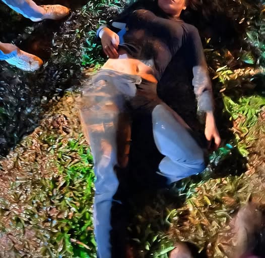 558155643 1264162799056707 5456174900085392961 n