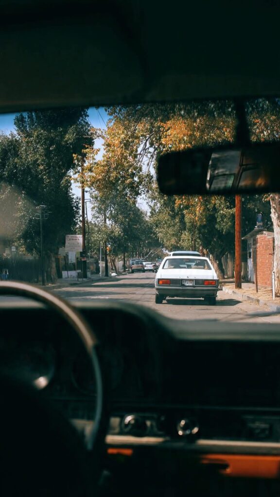 558974138 4132059850367614 1731837688072787034 n