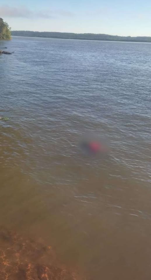 565128156 1462786011618192 3967299585958932982 n