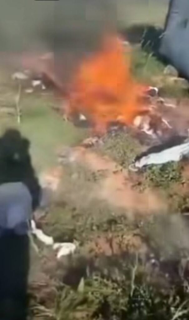 569187709 1469614480935345 3219312582819800772 n