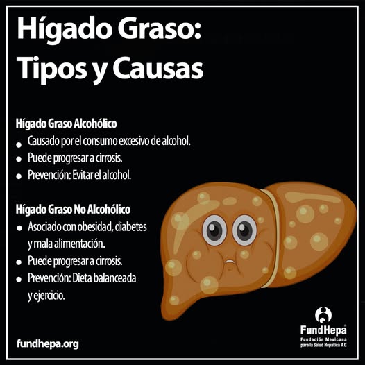 481900484 626675510006318 118906679011951798 n