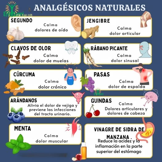 500063359 652469854490635 2151828759163490300 n