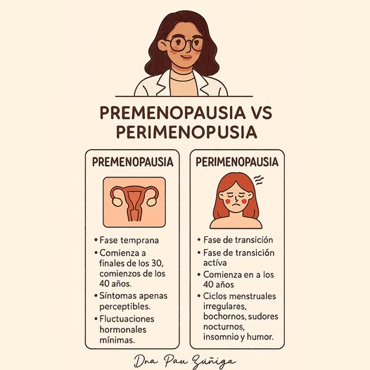 518368395 1293349915489279 1765216586634578207 n