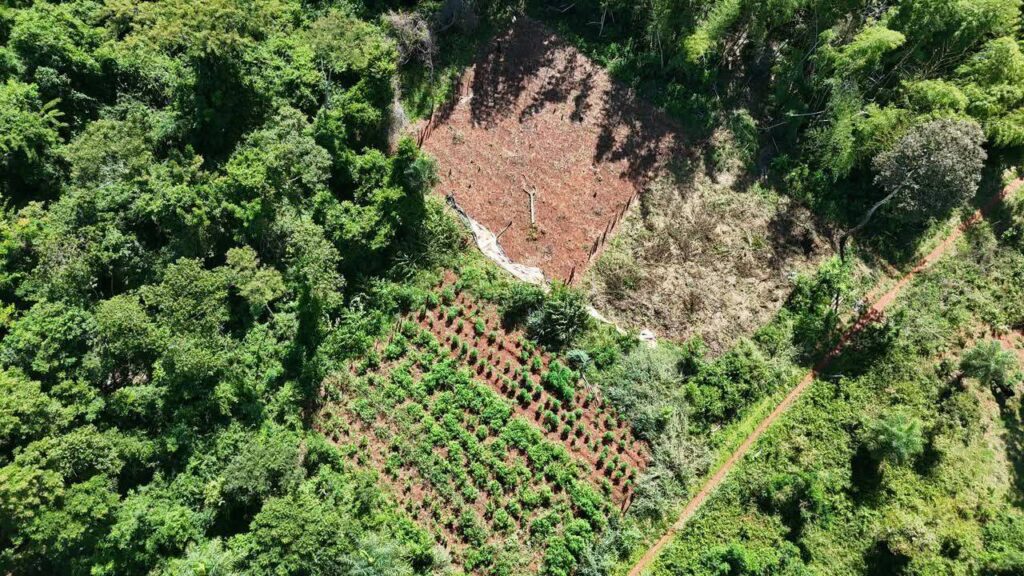 671741178 1477396883744169 3153043626361362058 n