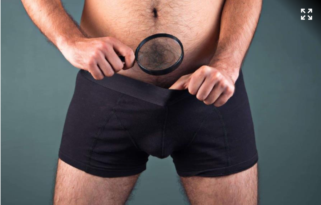 captura de pantalla 2022 06 26 a las 5.34.34 p. m.